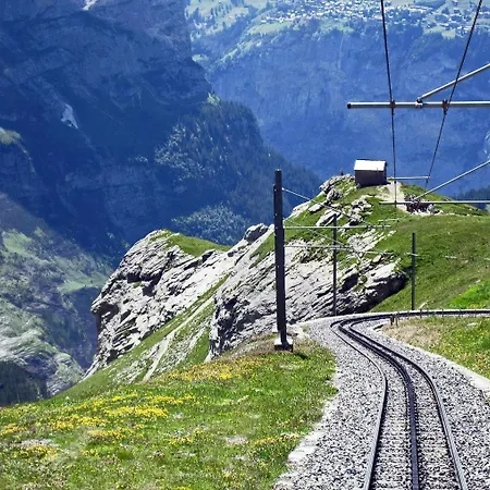 Staybrienz - Family *